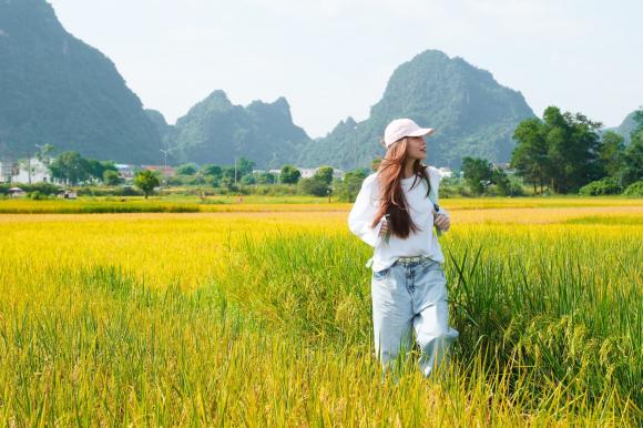 Sao Việt 25/6, tin sao việt mới nhất