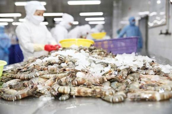 mỏ vàng xuất khẩu, thương mại, xuất khẩu tôm