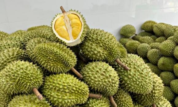 sầu riêng, măng cụt, xuất khẩu, giá măng cụt giảm sâu