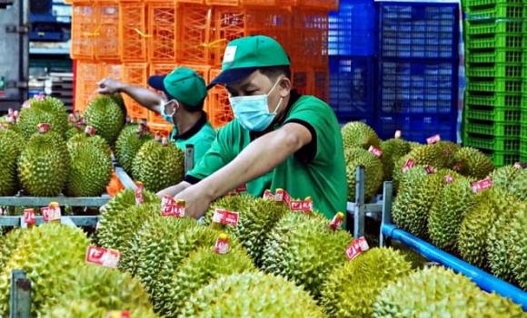 sầu riêng, măng cụt, xuất khẩu, giá măng cụt giảm sâu
