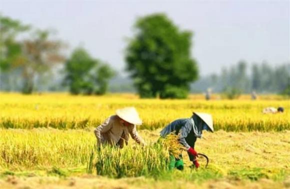 miễn thuế đất nông nghiệp, chính sách mới