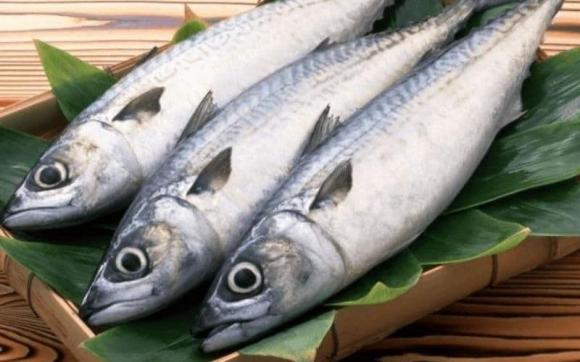 Loại cá chứa omega 3, cá hồi