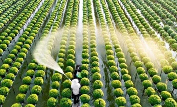 ngành Nông nghiệp Công nghệ, ngành thiếu nhân lực, ngành lương cao