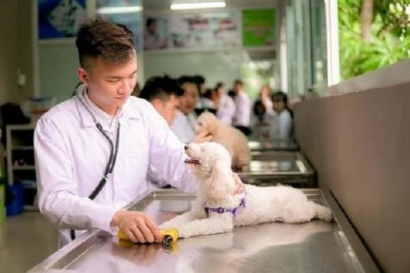 ngành phát triển trong tương lai,  ngành học mỏ vàng, ngành lương cao