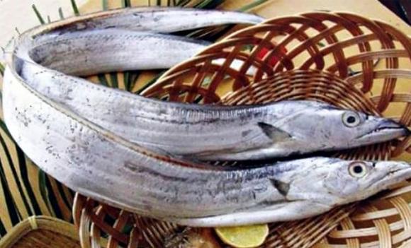 cá dễ gây ngộ độc, cá đông lạnh, cá có mùi hôi, cá thơm ngon bổ dưỡng, cá cơm, cá mòi, cá đối, cá hố