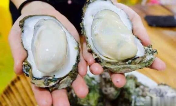 hàu, cách chọn hàu ngon