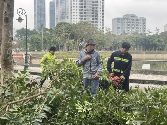 công viên cầu giấy, công viên Hà Nội, cải tạo công viên cầu giấy