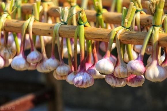 ăn tỏi giúp giảm nguy cơ tử vong ung thư dạ dày, công dụng của tỏi