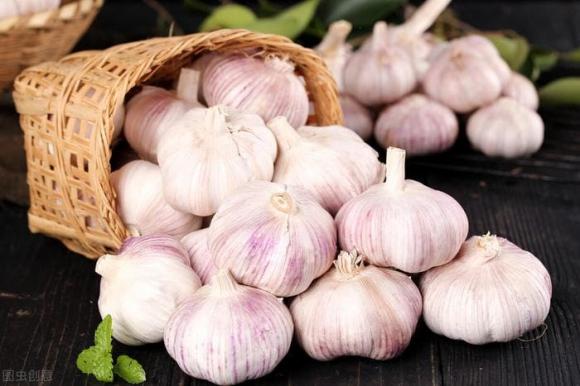 ăn tỏi giúp giảm nguy cơ tử vong ung thư dạ dày, công dụng của tỏi