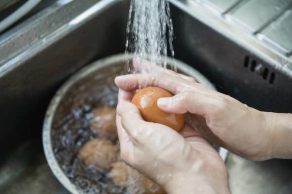 cách bảo quản trứng, 