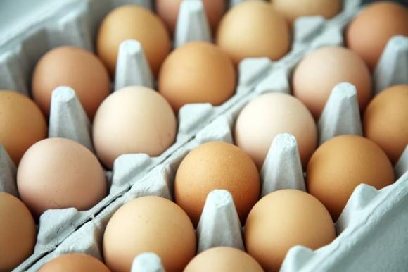 cách bảo quản trứng, 