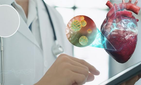 sức khỏe, đi bộ, đi bộ nhanh, đi chậm, sống khỏe, sống lâu