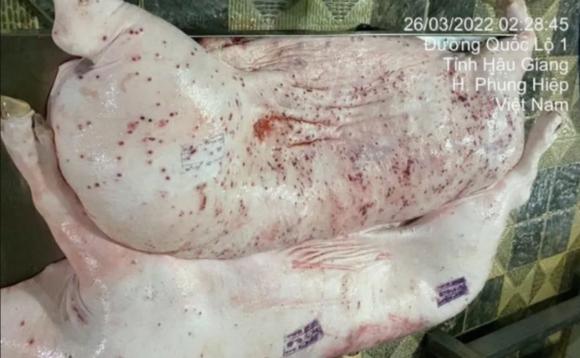 C.P Việt Nam, C.P Việt Nam bán thịt heo bẩn, kiến thức