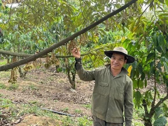 sầu riêng, cà phê, nông dân