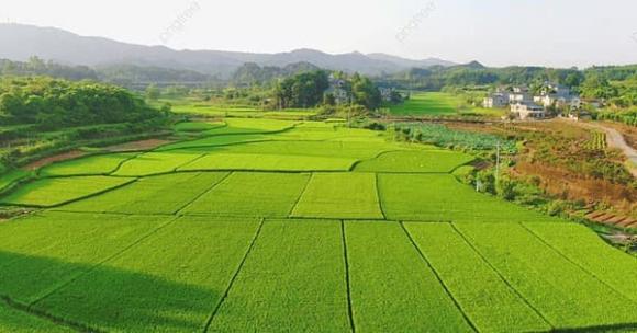chuyển mục đích sử dụng đất không cần xin phép, luật đất đai