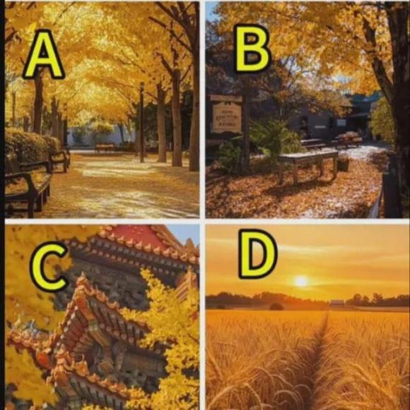 Trắc nghiệm tâm lý