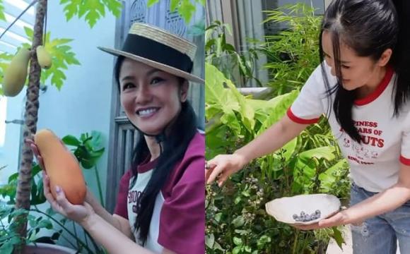 diva Hồng Nhung, sao Việt