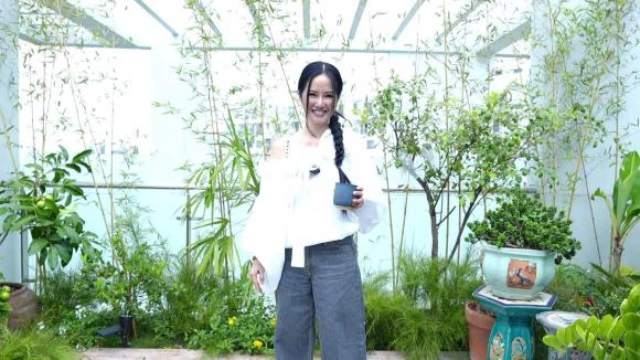 diva Hồng Nhung, sao Việt