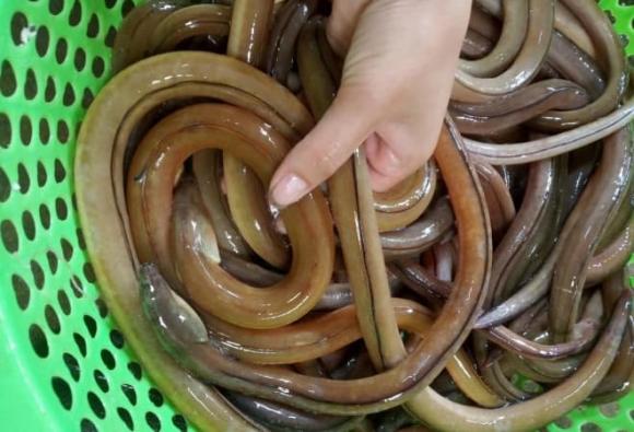 đặc sản Thanh Hóa, Gỏi nhệch 
