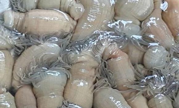 rum biển, rum biển om củ chuối, vùng biển miền Trung, đặc sản