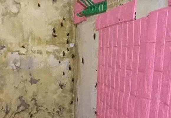 thuê trọ, ở bẩn, phòng trọ bẩn, giới trẻ