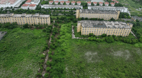 đại học, đại học bị đình chỉ, kiến thức 