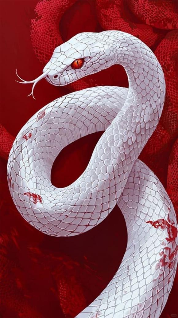 Tử vi, con giáp, tử vi hàng ngày, tử vi ngày 5/7/2025