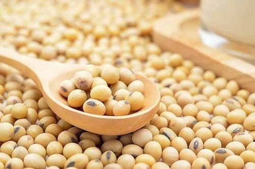 đậu nành, công dụng của đậu nành, sức khỏe