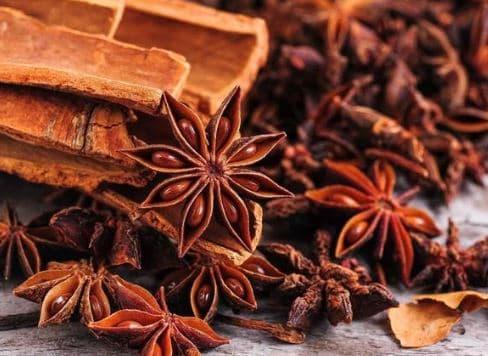 hoa hồi, xuất khẩu hoa hồi, kiến thức