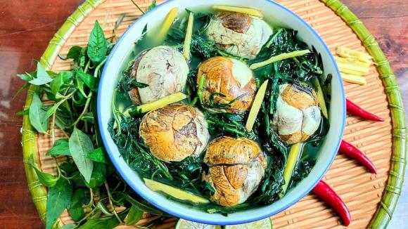 ngải cứu, bài thuốc từ ngải cứu, sức khỏe