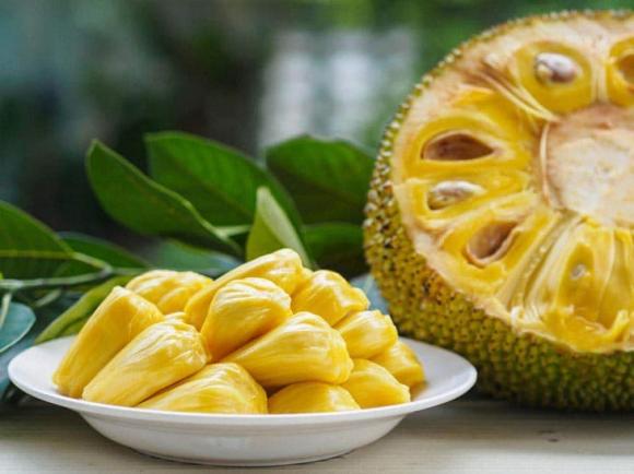 trồng mít, thắp hương mít, kiến thức