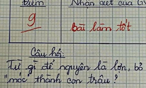 câu đố Tiếng Việt