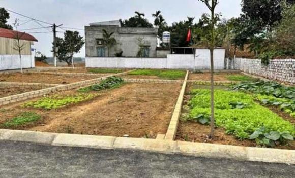 thủ tục tách, hợp thửa đất, luật đất đai