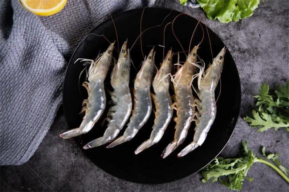 tôm sông, tôm biển