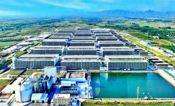 Tỉnh Tây Ninh, chung cư nuôi heo