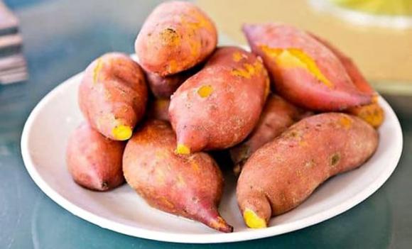 khoai lang, loại củ chống ung thư