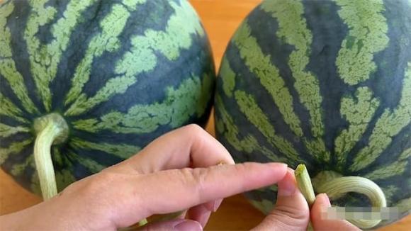 dưa hấu, kinh nghiệm chọn hoa quả