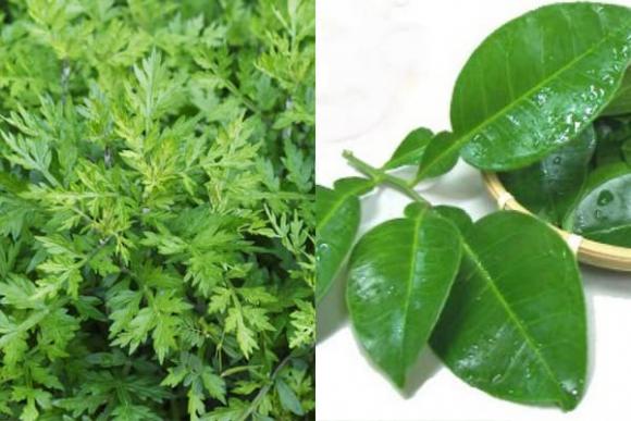 ngày rằm, rằm tháng 6, thắp hương ngày rằm