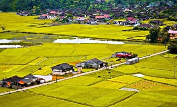 Bộ Nông nghiệp và Môi trường, Đất trồng lúa nước, đất ở