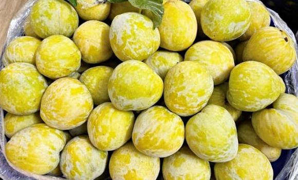 loại quả Trung Quốc, mận cau Mông Tự
