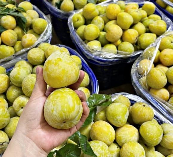 loại quả Trung Quốc, mận cau Mông Tự