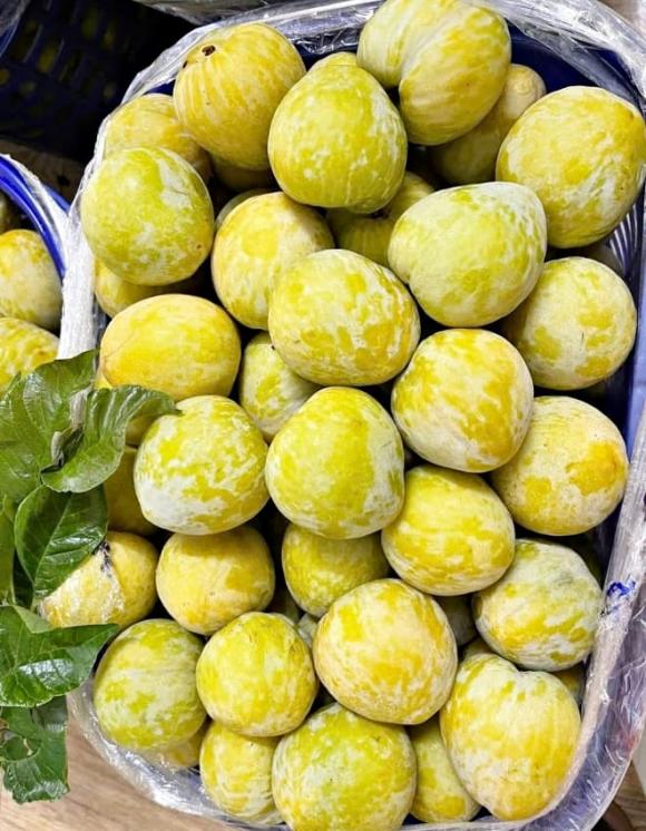 loại quả Trung Quốc, mận cau Mông Tự