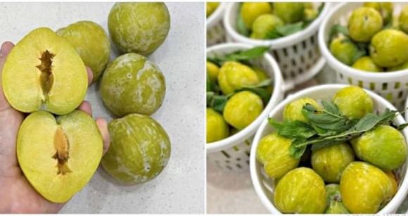 loại quả Trung Quốc, mận cau Mông Tự