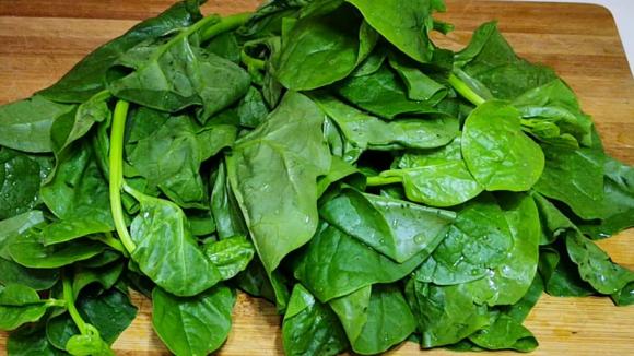 rau mồng tơi, lợi ích của rau mồng tơi