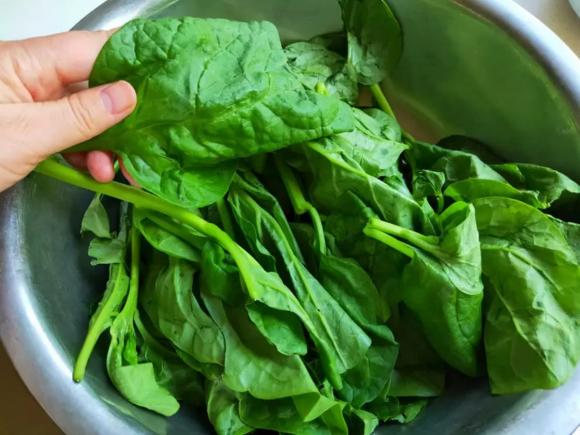 rau mồng tơi, lợi ích của rau mồng tơi