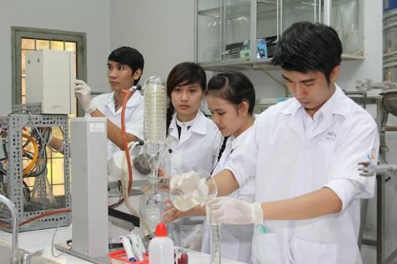 ngành học, chọn ngành học, kiến thức