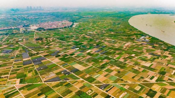Cầu Ngọc Hồ, cầu 12.000 tỷ, Vinhomes, Ecopark
