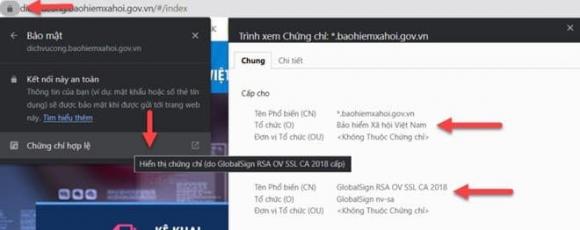 BHXH Việt Nam, Trang web BHXH lừa đảo