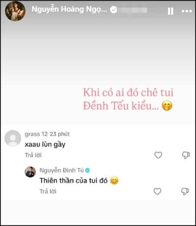 diễn viên Đình Tú, sao Việt, diễn viên Ngọc Huyền