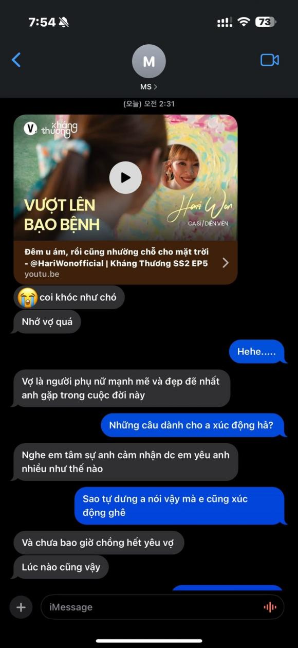 Hari Won, Trấn Thành, sao Việt 